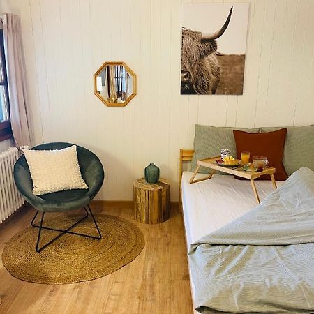 Studio Avec Sauna - 300M Des Pistes ليسين المظهر الخارجي الصورة