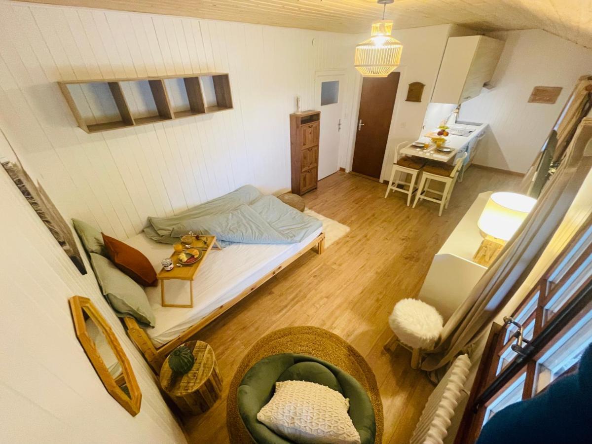 Studio Avec Sauna - 300M Des Pistes ليسين المظهر الخارجي الصورة