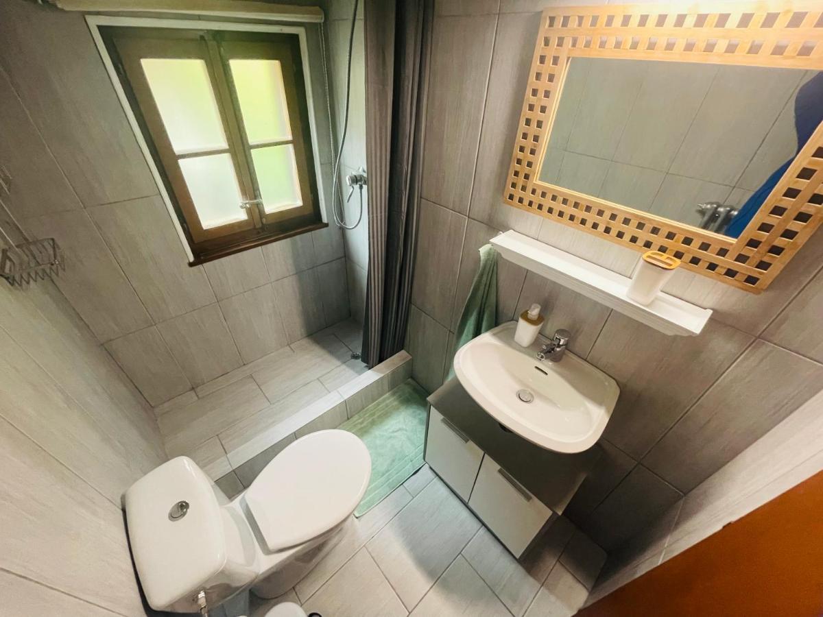 Studio Avec Sauna - 300M Des Pistes ليسين المظهر الخارجي الصورة