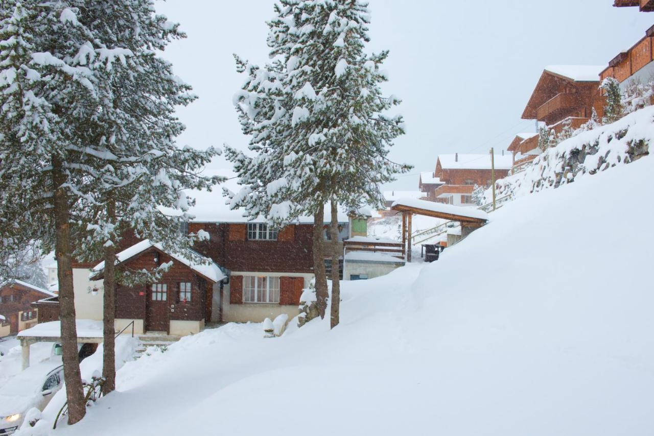 Studio Avec Sauna - 300M Des Pistes ليسين المظهر الخارجي الصورة