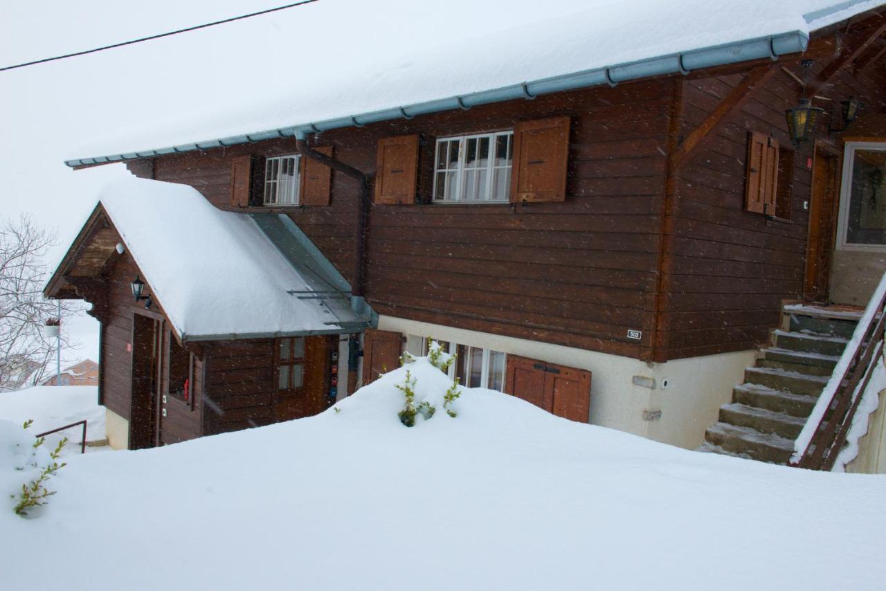 Studio Avec Sauna - 300M Des Pistes ليسين المظهر الخارجي الصورة
